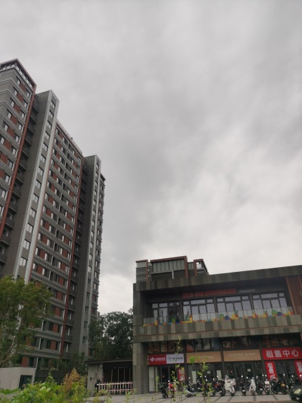 中海兴叁號院实景图