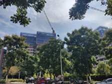 玻璃幕墙、端户、花园、进出方便、出门公园、环境好