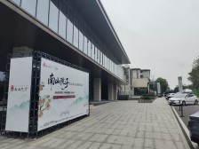 休闲角落,绿植装饰,看书喝茶,享受宁静时光