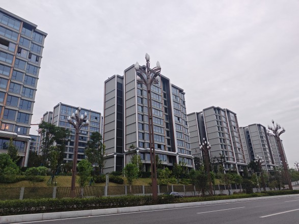 国浩·白屿林实景图