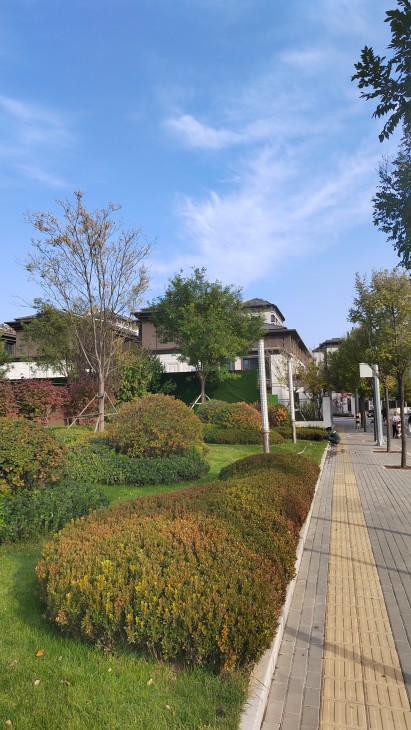 越秀·天恒怀山府实景图