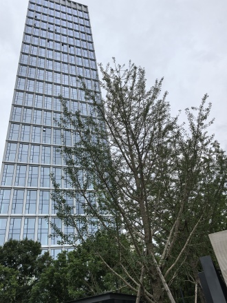 蔚蓝湖滨1号实景图