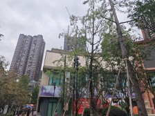 御峰誉都 3室1厅 南