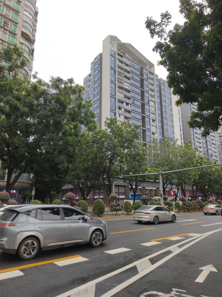 力迅·西关雅筑实景图