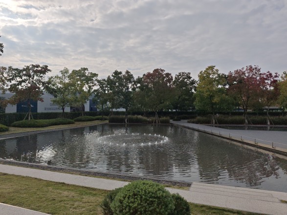 国浩·白屿林实景图