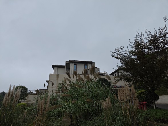 仁安南山院子实景图