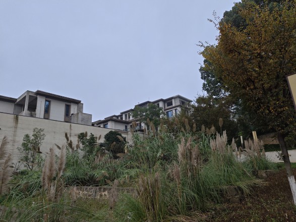 仁安南山院子实景图