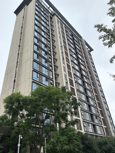 幸福桥TOD·幸福拾光商住楼实景图