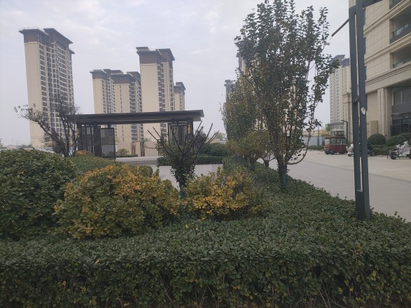 恒茂城·江南国际实景图