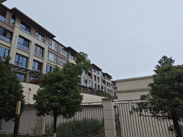 仁安南山院子实景图