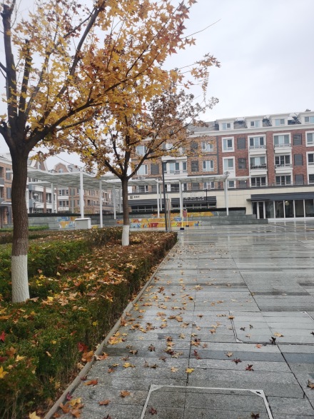 北科建·水岸雁栖别墅实景图