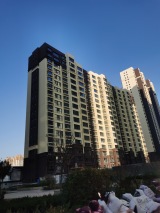 温莎花园实景图竣工楼栋