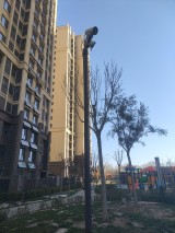 雍景湾龍阁小区实景