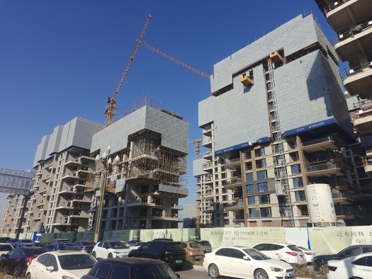 邦泰·悦九章实景图