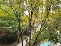 三岔TOD·蔚澜之城实景图小区环境
