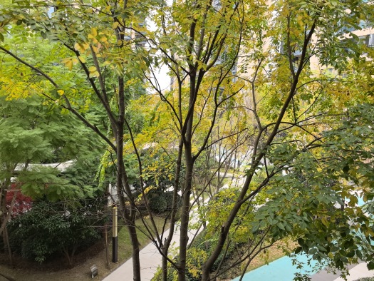 三岔TOD·蔚澜之城实景图