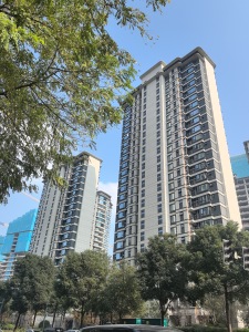 麓鸣九天麓吟苑4室2厅南