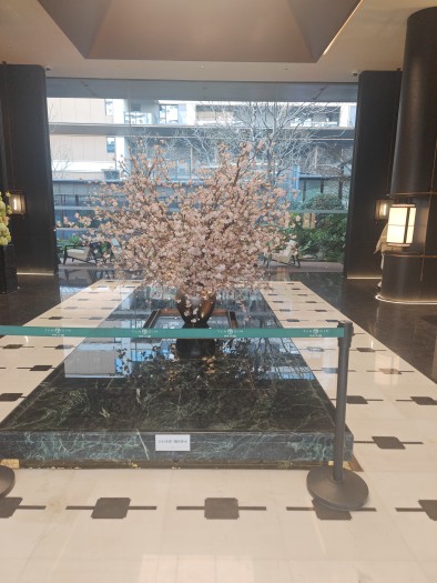 保利·天珺实景图