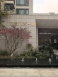 龙潭寺TOD·龙潭九章实景图