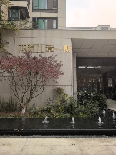 龙潭寺TOD·龙潭九章实景图