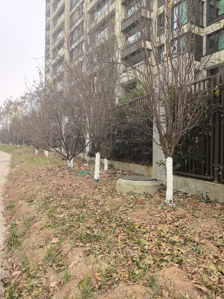 小区相关图