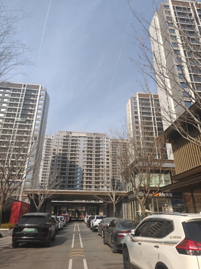 华发·利君｜都荟城央实景图