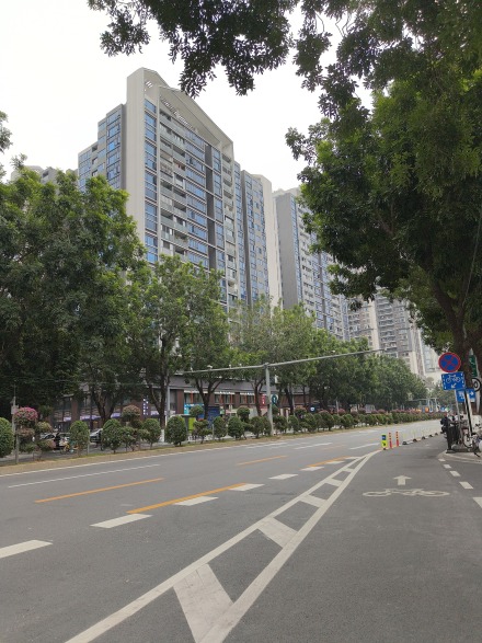力迅·西关雅筑实景图