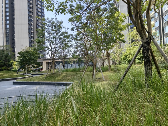 华侨城天鹅堡实景图