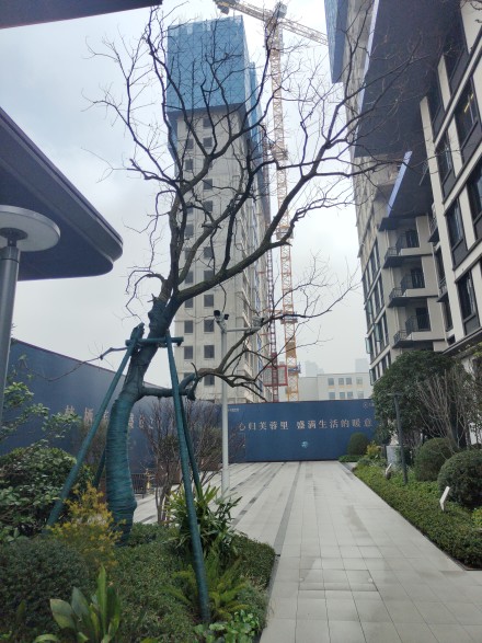 中交·瑞启芙蓉实景图