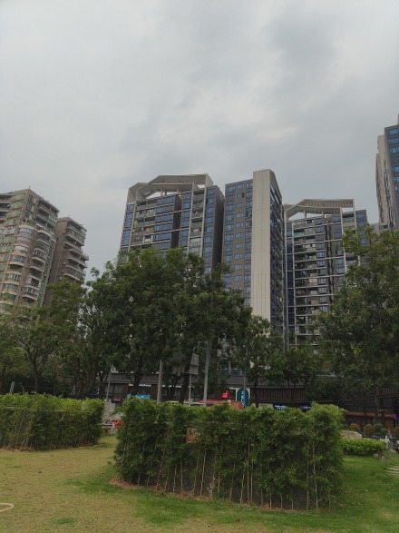 力迅·西关雅筑实景图