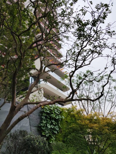 金融城·贝宸S1实景图