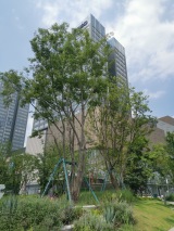 招商时代公园天澜境B区实景图竣工楼栋