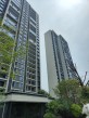 麓谷城市公园实景图