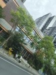 保利·江上印