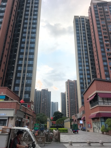 珠江花城实景图