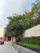 珠江花城实景图