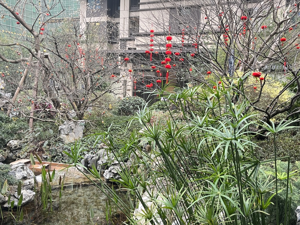 小区相关图