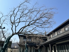 中铁芙蓉18911室1厅南