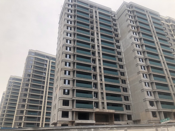 江悦和鸣实景图