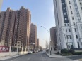 泰和东郡(四期)实景图