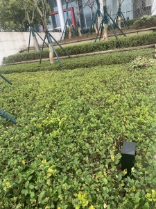 望达智造小镇4室2厅南北