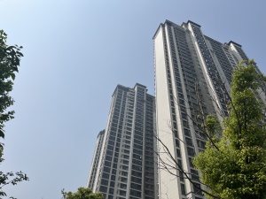万科·西园甲第4室2厅南北