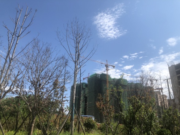 梦想滨江左岸实景图