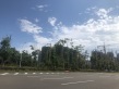梦想滨江左岸实景图
