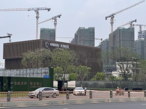 中粮保利麓湖天荟 5室2厅 东南