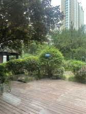 中建锦绣* 精装修 无遮挡 诚心出售