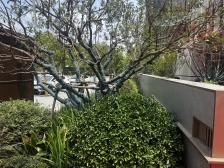 电梯房,品质小区,居家装修,精装好房