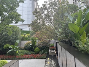龙湖焕城3室2厅东南