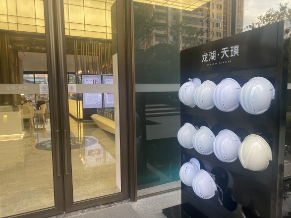 龙湖·天璞实景图