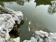 山水间边户别墅,上下5层带花园,房东急售,价格可谈